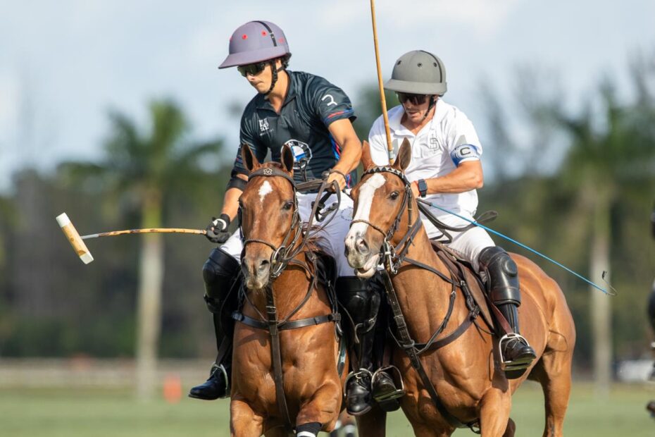 Zapican BMW 14 vs 16 SD Farms