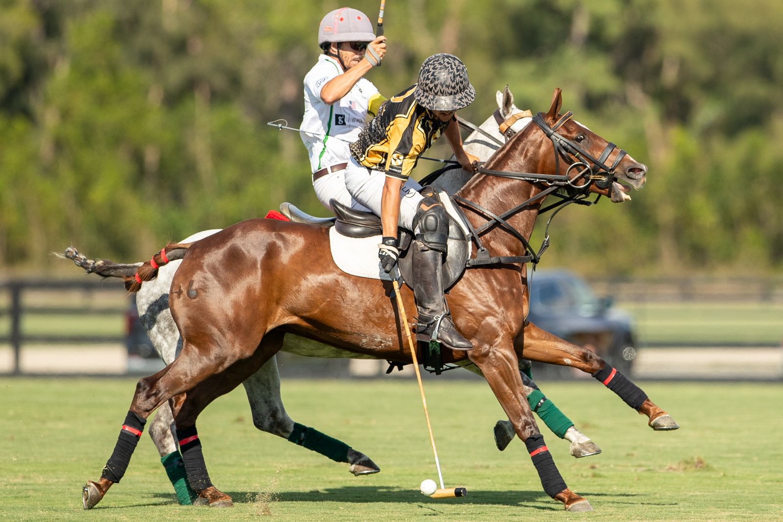 Las Brisas 8 vs 16 Palm Beach Equine