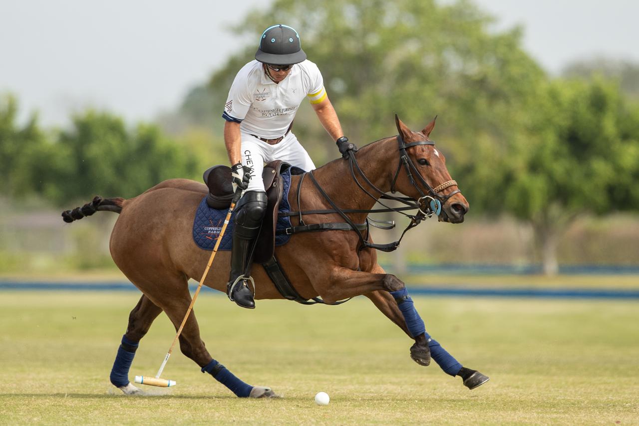 BIENTINA 10 vs 11 Copperline Farm
