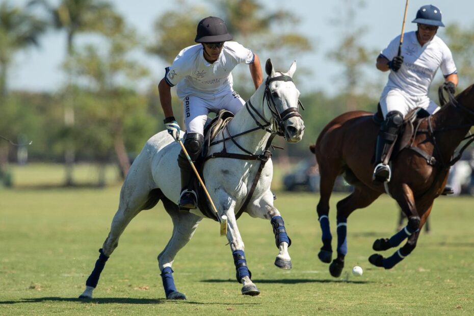 Copperline Farm 11 vs 8 Zapican/BMW