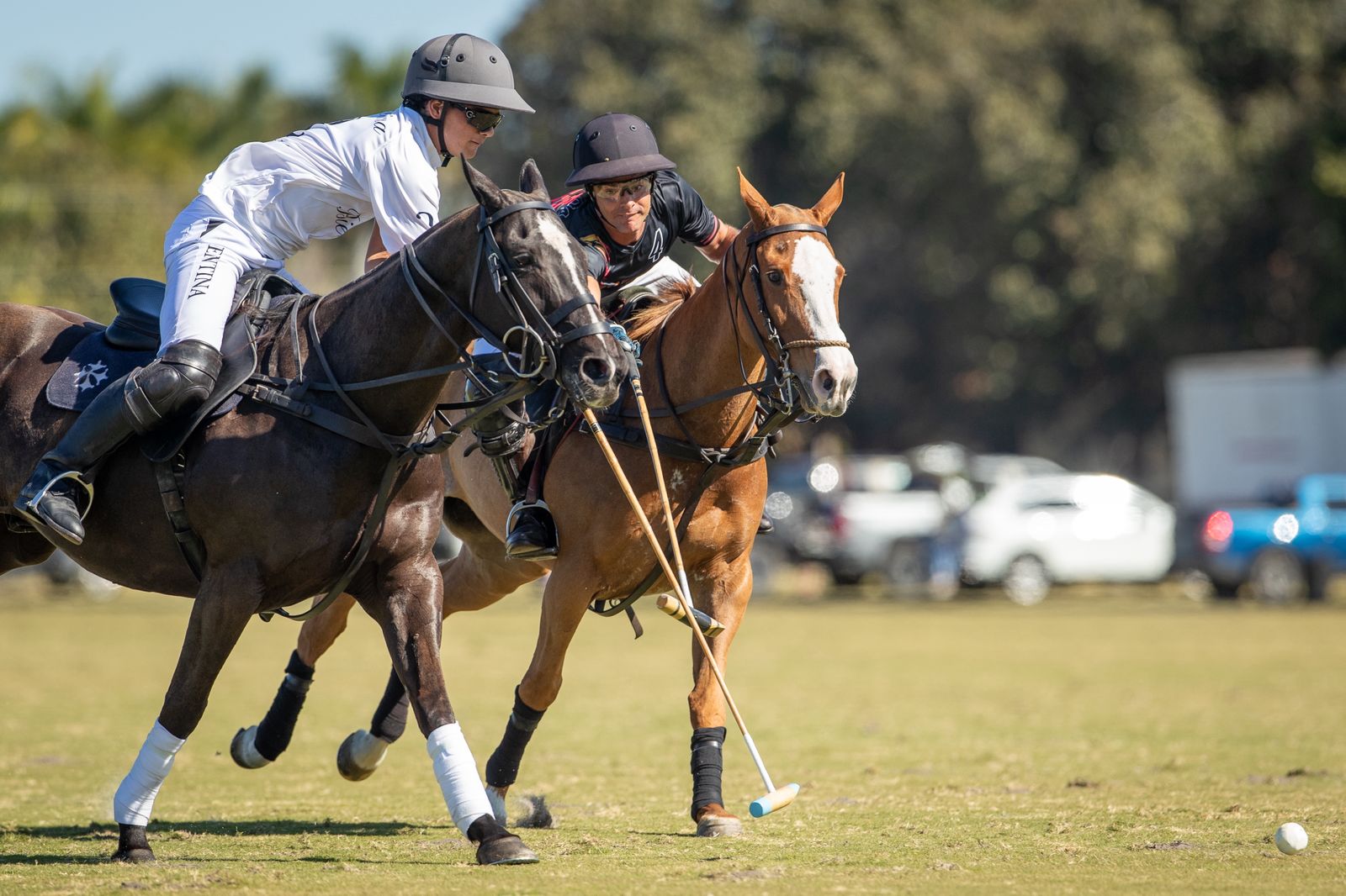 BIENTINA 8 vs 10 Dracarys