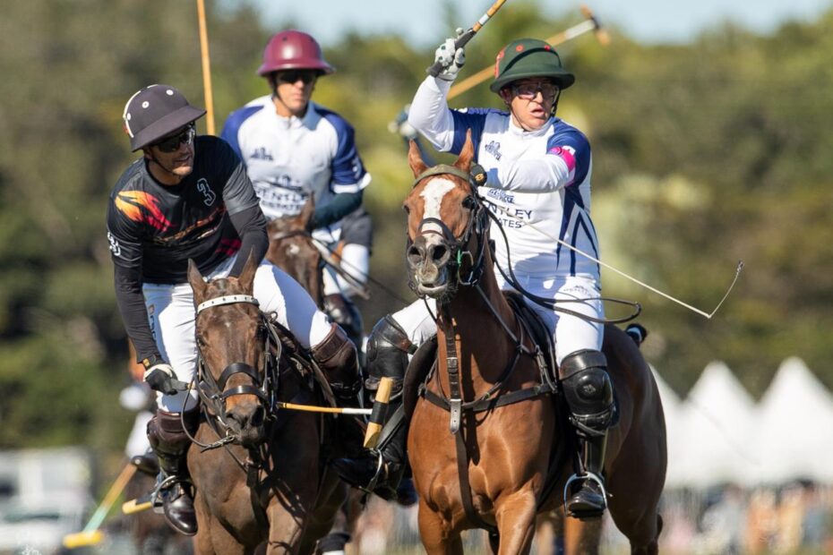 Dracarys 6 vs 7 90210