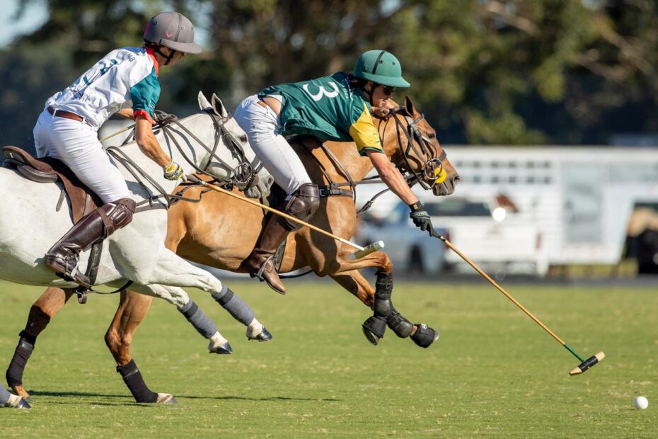 Mrs. Momma Bear / LW Ranch 13 vs 5 Cielo Tequila