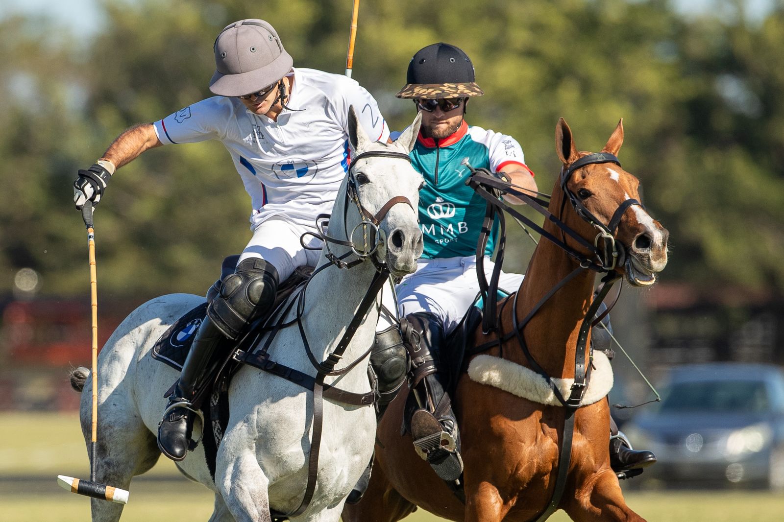 Zapican / BMW 11 vs 8 Mrs. Momma Bear / LW Ranch