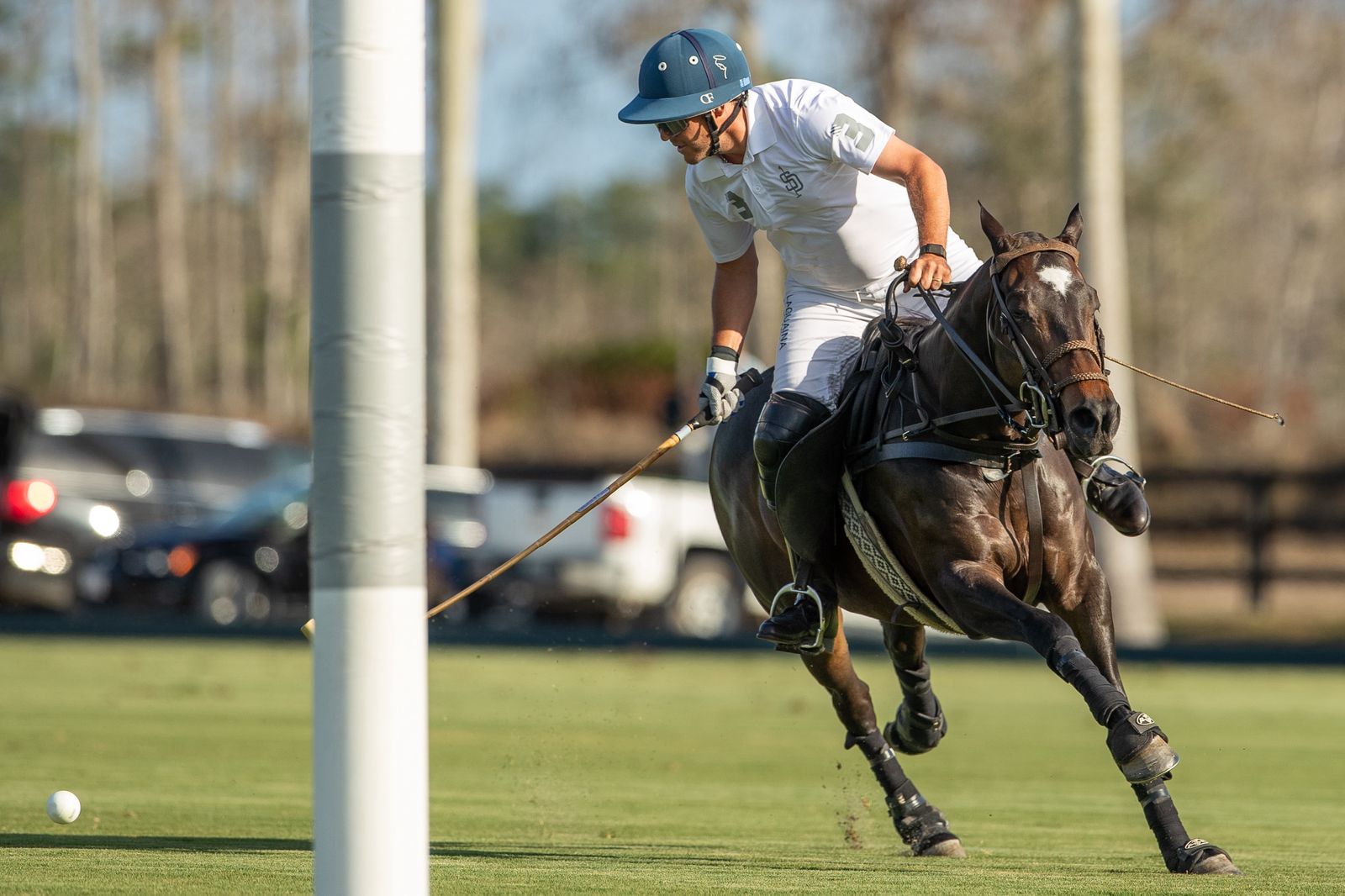 SD Farms 9 vs 8 Zapican BMW