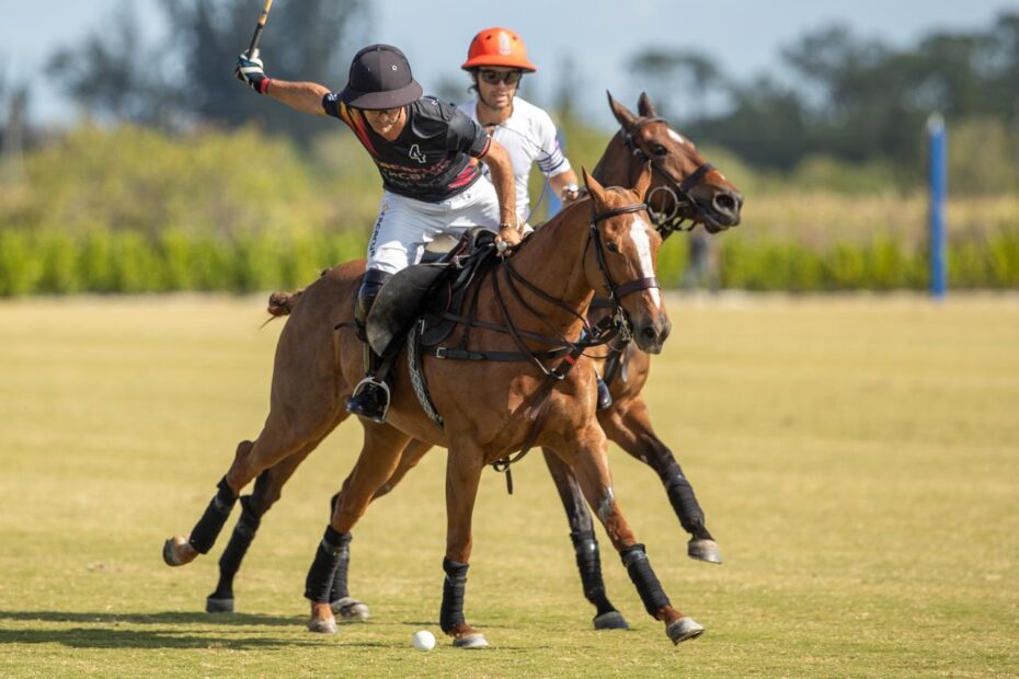 Dracarys 8 vs 11 Kaia