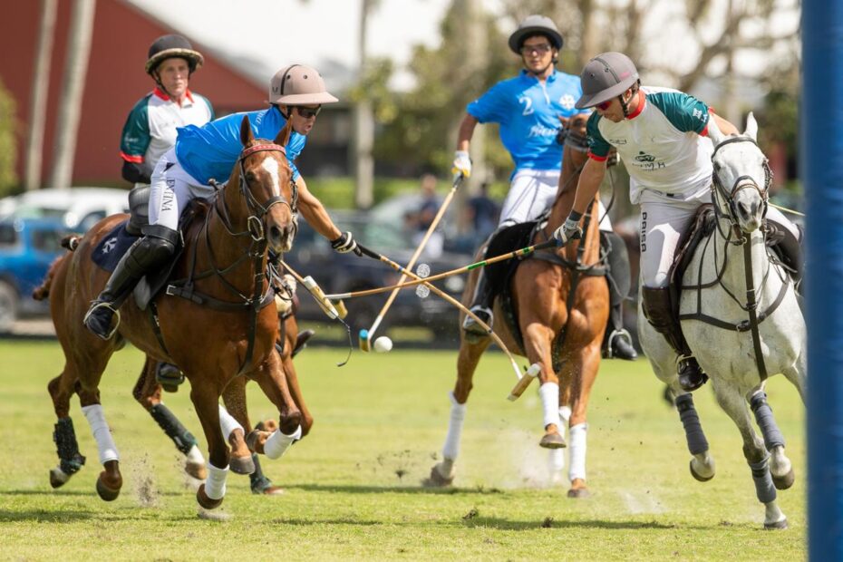 Mrs Momma Bear/LWR 13 vs 9 BIENTINA