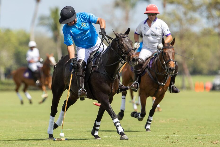 BIENTINA 9 vs 7 North Wales