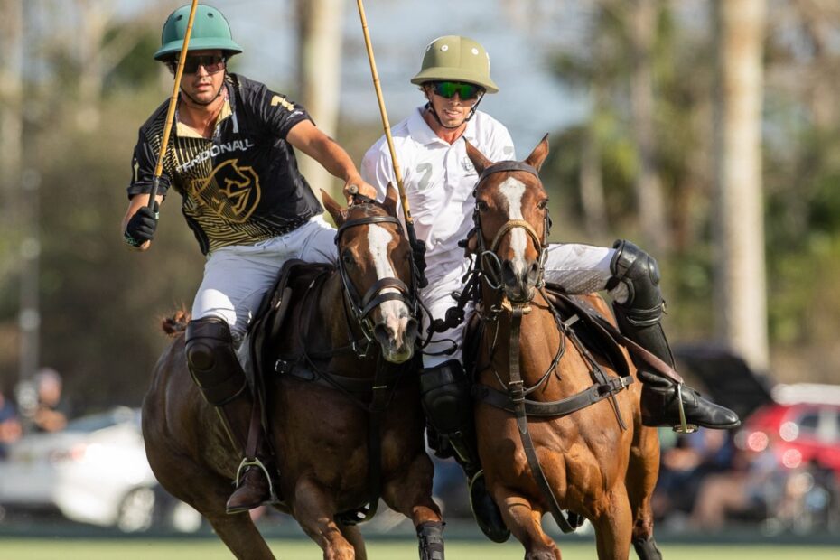 SD Farms 12 vs 13 Tendonall Equine